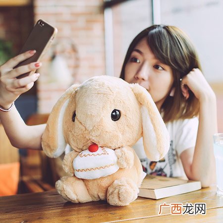 送女生的兔子周边礼物大全