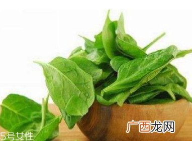 菠菜怎么焯水才不变色菠菜怎么焯水才鲜亮