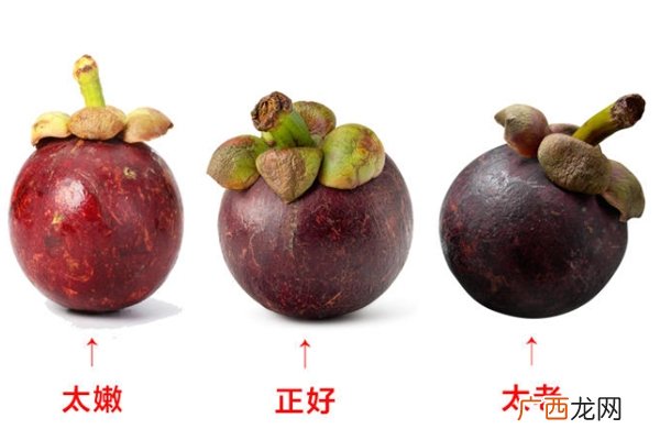 山竹怎么选才是新鲜的又甜又水嫩的山竹这样挑