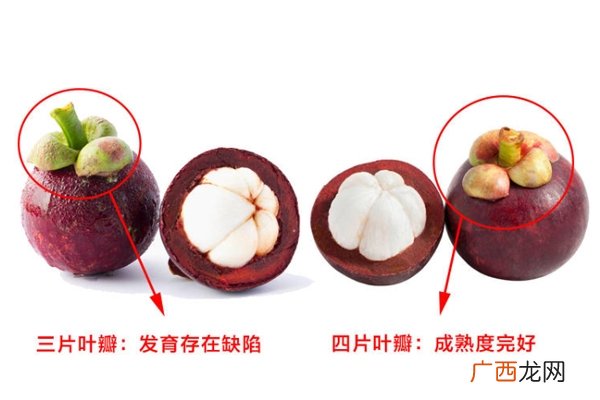 山竹怎么选才是新鲜的又甜又水嫩的山竹这样挑