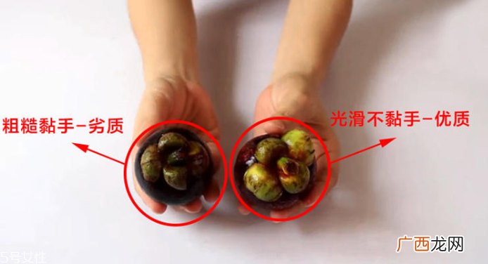山竹怎么选才是新鲜的又甜又水嫩的山竹这样挑