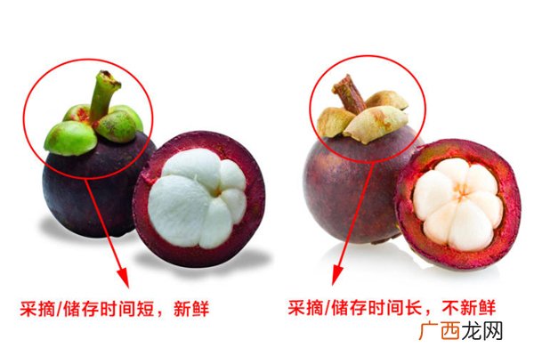 山竹怎么选才是新鲜的又甜又水嫩的山竹这样挑