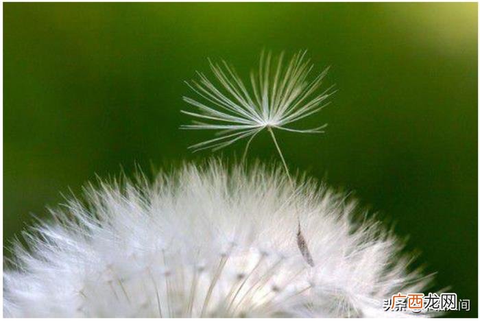 聊天怎么回复，都懂得这3个回复技巧