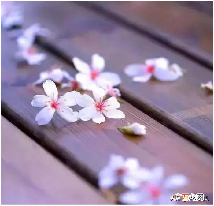 聊天怎么回复，都懂得这3个回复技巧