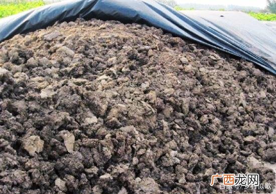 米糠怎么腐熟做肥料 米糠发酵水产肥技术