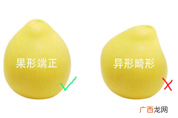 柚子什么形状的好吃别买长的奇怪的