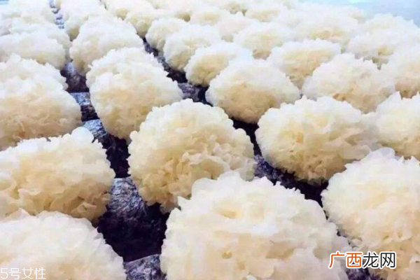 银耳颜色白是怎么回事太过完美必然有鬼
