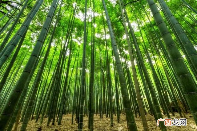 大量订单急需加工厂,开什么厂赚钱利润最大