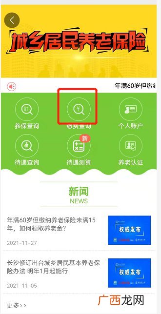 入口+流程 长沙城乡居民养老保险查询指南