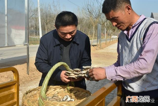 今年最适合做的小本生意,小成本生意做什么