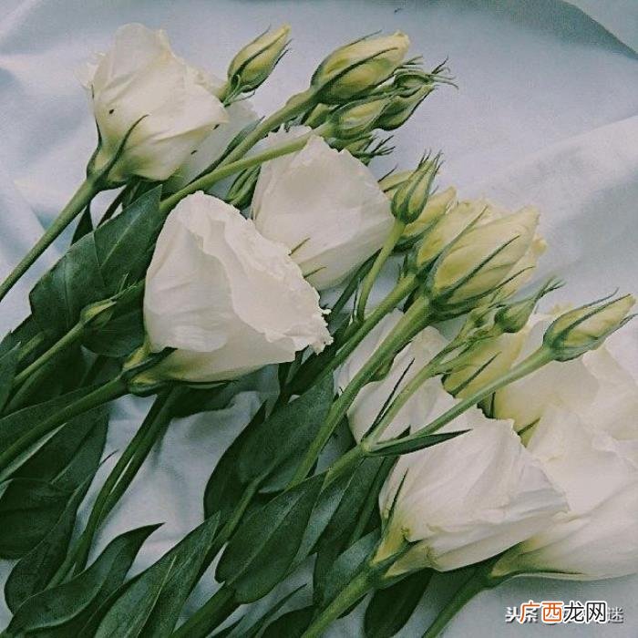 心情不好很失望的说说 很失望的心情说说