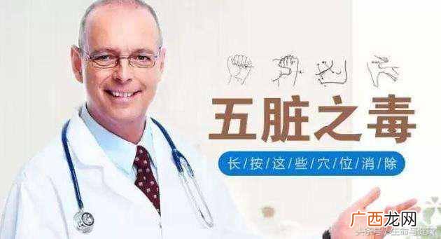 五脏六腑指什么器官？五脏六腑功能详解