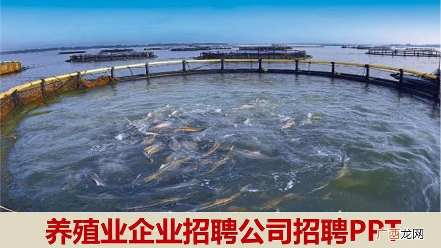 汝州招聘猪场技术员 新余养猪技术员招聘