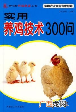 养鸡专业知识和技术 养鸡技术养鸡技术