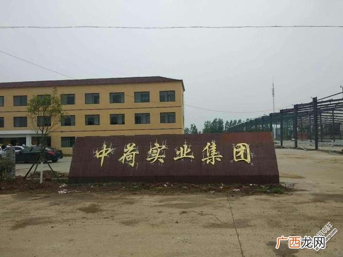 中荷人寿内勤待遇 中荷时代生物技术 待遇