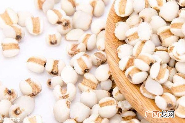 薏米受潮还能吃吗薏米怎么判断是否受潮