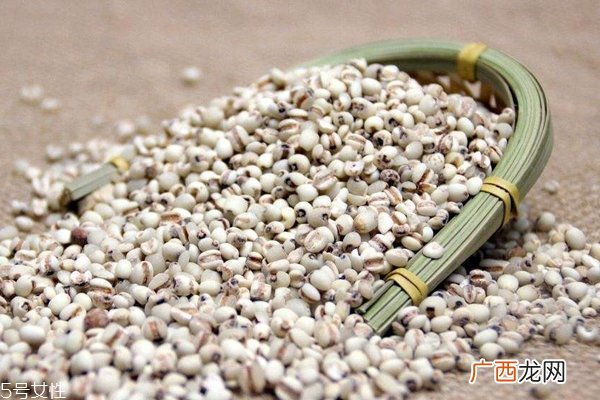 薏米是什么气味薏米过期是什么气味