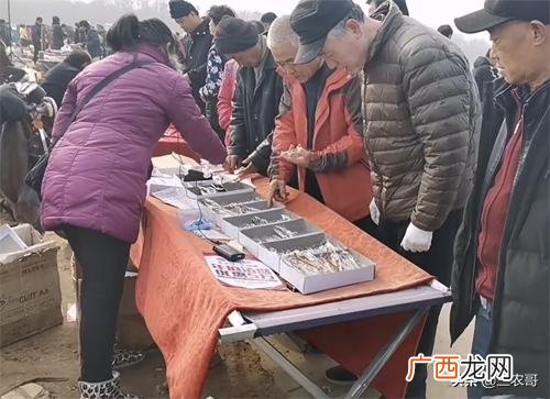 什么生意投资少挣钱,资金少创业适合做什么农业