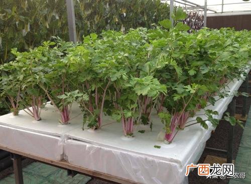 什么生意投资少挣钱,资金少创业适合做什么农业