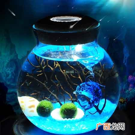 简单DIY手工就能制作小礼物推荐