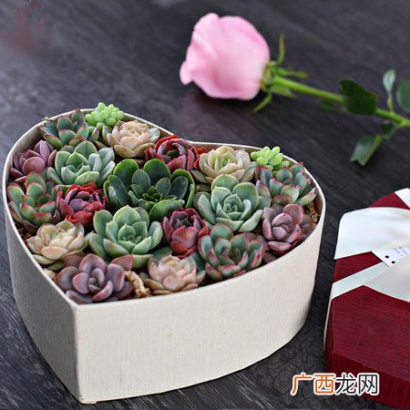 简单DIY手工就能制作小礼物推荐
