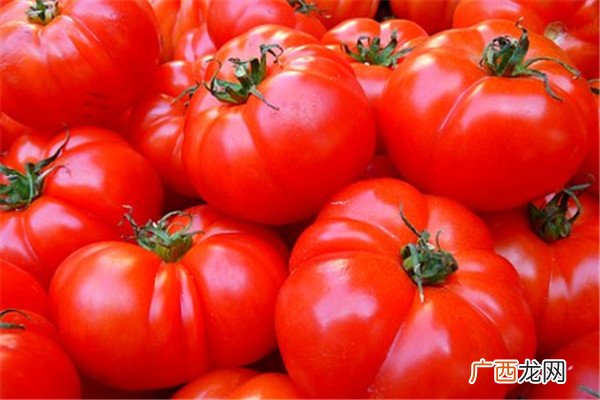 菜市场买菜怎么挑选10种家常菜挑选技巧