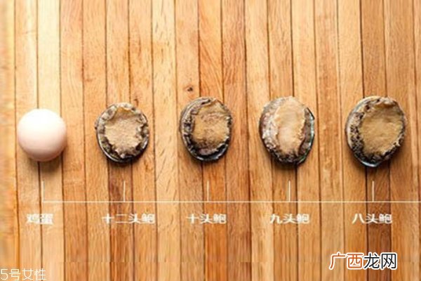 鲍鱼头数有什么好处头数代表质量好坏