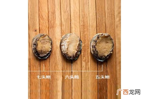 鲍鱼头数有什么好处头数代表质量好坏