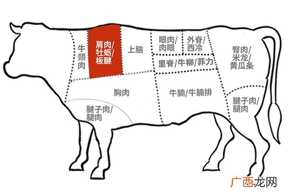 板腱牛排是哪个部位超嫩的牛肩胛