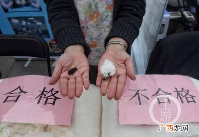 什么是黑心棉？教你一招鉴别黑心棉
