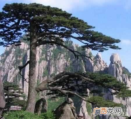 古诗岁寒三友指什么？岁寒三友的典故出自于哪