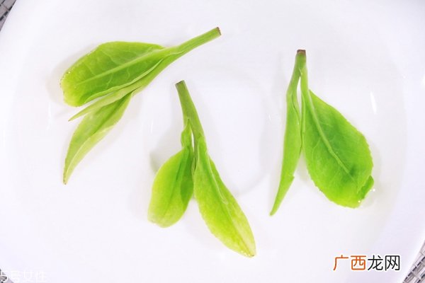 夏茶和秋茶哪个好秋茶略显无滋无味