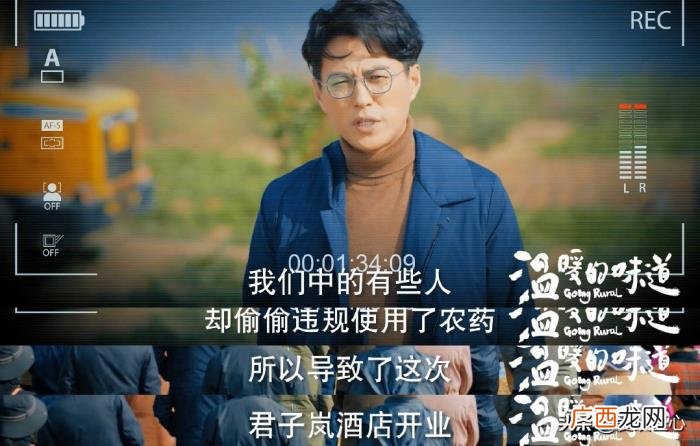 吴越素颜出镜全是戏 吴越的电视剧