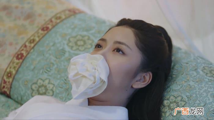 吴婕妤聪明反被聪明误 吴婕妤与艾美琦