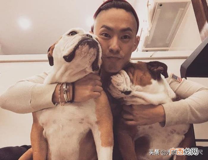 吴建豪与百亿千金石贞善正式离婚 吴建豪石贞善