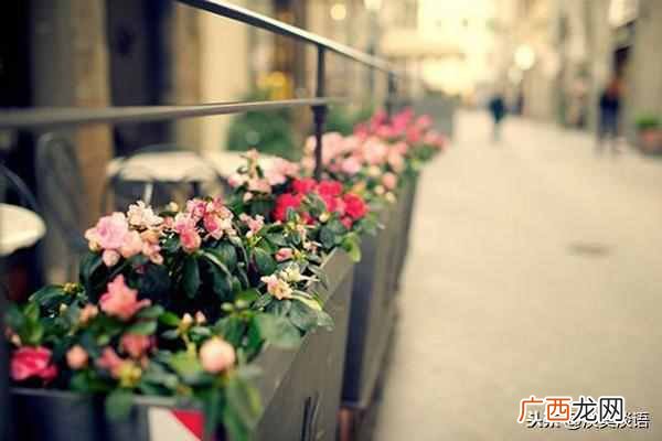 披荆斩棘是什么意思？人生的道路上你是如何披