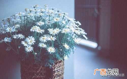 披荆斩棘是什么意思？人生的道路上你是如何披