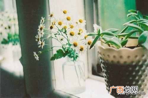 披荆斩棘是什么意思？人生的道路上你是如何披