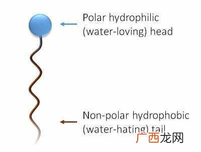 什么是表面活性剂?表面活性剂有什么危害