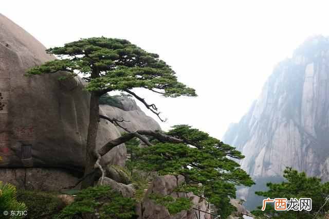 黄山四绝是什么意思？黄山四绝分别是什么