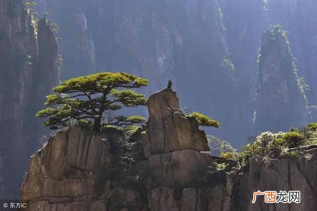 黄山四绝是什么意思？黄山四绝分别是什么
