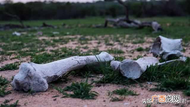 人死后会变成什么样子？人死后49天的全过程