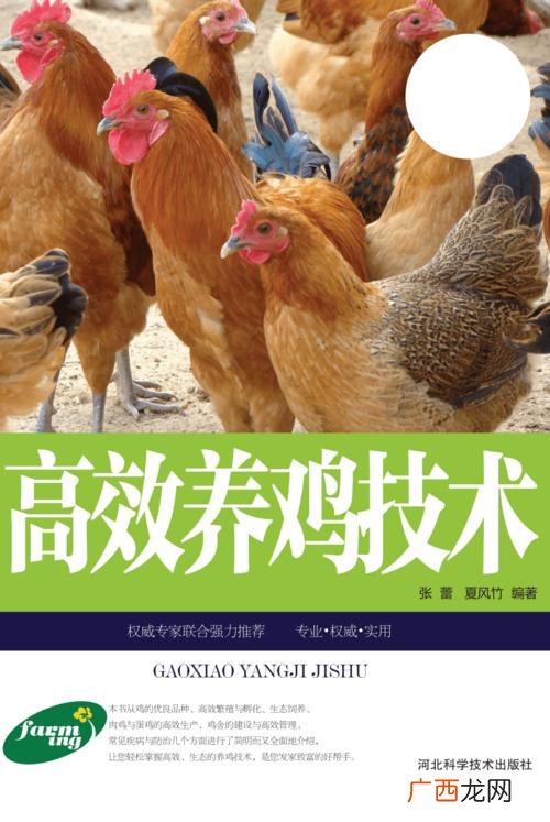 我想养鸡但没有技术 我想学放山养鸡的技术