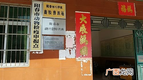 畜牧兽医招聘网站 阳江兽医技术员招聘