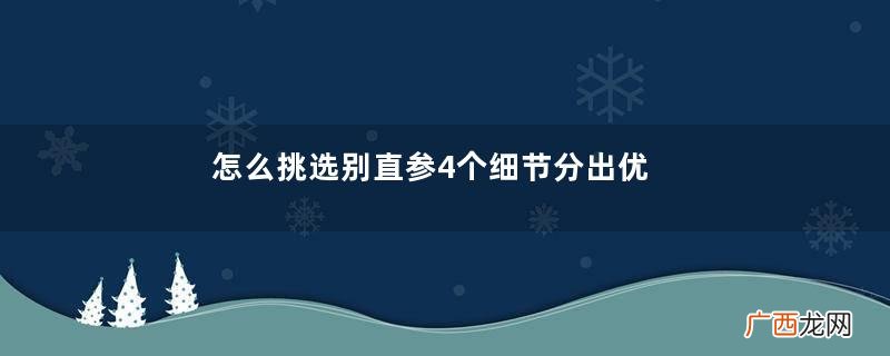 怎么挑选别直参4个细节分出优劣