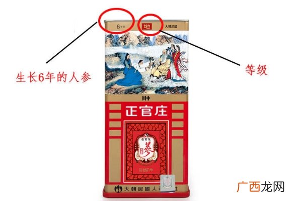 怎么挑选别直参4个细节分出优劣