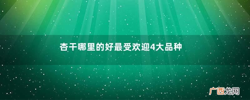 杏干哪里的好最受欢迎4大品种