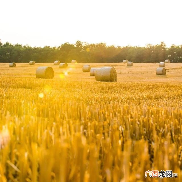 农村干什么赚钱 现在农村干什么行业赚钱
