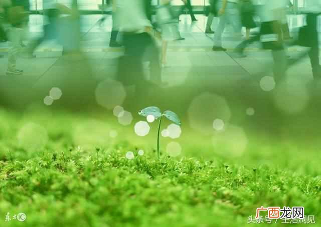 生活拮据让你看懂了什么是生活？什么是现实