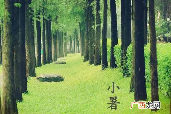小暑是什么意思？24气节你知道多少